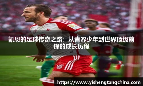 BB贝博ballbet